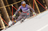 Winner Erik Guay of Canada skiing in men downhill race of FIS alpine skiing World Championships in Garmisch-Partenkirchen, Germany. Men downhill race of FIS alpine skiing World Championships, was held on Saturday, 12th of February 2011, in Garmisch-Partenkirchen, Germany.
