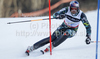 Winner Aksel Lund Svindal of Norway skiing in slalom of men super combined race of FIS alpine skiing World Championships in Garmisch-Partenkirchen, Germany. Men super combined race of FIS alpine skiing World Championships, was held on Monday, 14th of February 2011, in Garmisch-Partenkirchen, Germany.
