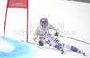Maria Riesch of Germany skiing in first run of Women giant slalom race of FIS alpine skiing World Championships in Garmisch-Partenkirchen, Germany. Women giant slalom race of FIS alpine skiing World Championships, was held on Thursday, 17th of February 2011, in Garmisch-Partenkirchen, Germany.
