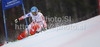 Tanja Poutiainen of Finland skiing in second run of Women giant slalom race of FIS alpine skiing World Championships in Garmisch-Partenkirchen, Germany. Women giant slalom race of FIS alpine skiing World Championships, was held on Thursday, 17th of February 2011, in Garmisch-Partenkirchen, Germany.

