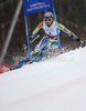 Winner Tina Maze of Slovenia skiing in second run of Women giant slalom race of FIS alpine skiing World Championships in Garmisch-Partenkirchen, Germany. Women giant slalom race of FIS alpine skiing World Championships, was held on Thursday, 17th of February 2011, in Garmisch-Partenkirchen, Germany.
