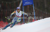 Winner Tina Maze of Slovenia skiing in second run of Women giant slalom race of FIS alpine skiing World Championships in Garmisch-Partenkirchen, Germany. Women giant slalom race of FIS alpine skiing World Championships, was held on Thursday, 17th of February 2011, in Garmisch-Partenkirchen, Germany.

