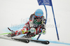 Ted Ligety of USA skiing in first run of Men giant slalom race of FIS alpine skiing World Championships in Garmisch-Partenkirchen, Germany. Men giant slalom race of FIS alpine skiing World Championships, was held on Friday, 18th of February 2011, in Garmisch-Partenkirchen, Germany.
