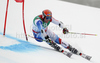 Didier Cuche of Switzerland skiing in first run of Men giant slalom race of FIS alpine skiing World Championships in Garmisch-Partenkirchen, Germany. Men giant slalom race of FIS alpine skiing World Championships, was held on Friday, 18th of February 2011, in Garmisch-Partenkirchen, Germany.
