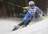 Frida Hansdotter of Sweden skiing in first run of Women slalom race of FIS alpine skiing World Championships in Garmisch-Partenkirchen, Germany. Women slalom race of FIS alpine skiing World Championships, was held on Saturday, 19th of February 2011, in Garmisch-Partenkirchen, Germany.

