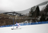 Winner Jean-Baptiste Grange of France skiing in second run of Men slalom race of FIS alpine skiing World Championships in Garmisch-Partenkirchen, Germany. Men slalom race of FIS alpine skiing World Championships, was held on Sunday, 20th of February 2011, in Garmisch-Partenkirchen, Germany.

