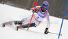 Jean-Baptiste Grange of France skiing in first run of Men slalom race of FIS alpine skiing World Championships in Garmisch-Partenkirchen, Germany. Men slalom race of FIS alpine skiing World Championships, was held on Sunday, 20th of February 2011, in Garmisch-Partenkirchen, Germany.
