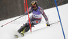 Trevor White of Canada skiing in first run of Men slalom race of FIS alpine skiing World Championships in Garmisch-Partenkirchen, Germany. Men slalom race of FIS alpine skiing World Championships, was held on Sunday, 20th of February 2011, in Garmisch-Partenkirchen, Germany.
