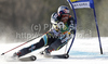 Aksel Lund Svindal of Norway skiing in first run of Men giant slalom race of Audi FIS alpine skiing World Cup 2010-2011 in Kranjska Gora, Slovenia. Men giant slalom race of FIS alpine skiing World Championships, was held on Saturday, 5th of March 2011, in Kranjska Gora, Slovenia.

