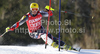 Ivica Kostelic of Croatia skiing in first run of Men slalom race of Audi FIS alpine skiing World Cup 2010-2011 in Kranjska Gora, Slovenia. Men slalom race of FIS alpine skiing World Championships, was held on Sunday, 6th of March 2011, in Kranjska Gora, Slovenia.
