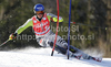 Felix Neureuther of Germany skiing in first run of Men slalom race of Audi FIS alpine skiing World Cup 2010-2011 in Kranjska Gora, Slovenia. Men slalom race of FIS alpine skiing World Championships, was held on Sunday, 6th of March 2011, in Kranjska Gora, Slovenia.

