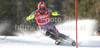 Julien Cousineau of Canada skiing in first run of Men slalom race of Audi FIS alpine skiing World Cup 2010-2011 in Kranjska Gora, Slovenia. Men slalom race of FIS alpine skiing World Championships, was held on Sunday, 6th of March 2011, in Kranjska Gora, Slovenia.
