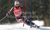 Nolan Kasper of USA skiing in first run of Men slalom race of Audi FIS alpine skiing World Cup 2010-2011 in Kranjska Gora, Slovenia. Men slalom race of FIS alpine skiing World Championships, was held on Sunday, 6th of March 2011, in Kranjska Gora, Slovenia.
