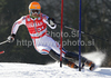 Maxime Tissot of France skiing in first run of Men slalom race of Audi FIS alpine skiing World Cup 2010-2011 in Kranjska Gora, Slovenia. Men slalom race of FIS alpine skiing World Championships, was held on Sunday, 6th of March 2011, in Kranjska Gora, Slovenia.
