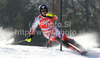 Santeri Paloniemi of Finland skiing in first run of Men slalom race of Audi FIS alpine skiing World Cup 2010-2011 in Kranjska Gora, Slovenia. Men slalom race of FIS alpine skiing World Championships, was held on Sunday, 6th of March 2011, in Kranjska Gora, Slovenia.
