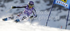 Maria Hoefl-Riesch of Germany skiing in first run of women giant slalom race of Audi FIS Alpine skiing World cup in Soelden, Austria. First race of season 2011-2012 was held on Rettenbach glacier above Soelden, Austria, on Saturday, 22nd of October 2011.

