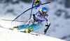 Tanja Poutiainen of Finland skiing in first run of women giant slalom race of Audi FIS Alpine skiing World cup in Soelden, Austria. First race of season 2011-2012 was held on Rettenbach glacier above Soelden, Austria, on Saturday, 22nd of October 2011.
