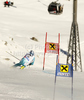  skiing in first run of men giant slalom race of Audi FIS Alpine skiing World cup in Soelden, Austria. First race of men season 2011-2012 was held on Rettenbach glacier above Soelden, Austria, on Sunday, 23rd of October 2011.
