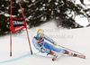 Matts Olsson of Sweden skiing in the first run of Men giant slalom race of Audi FIS alpine skiing World Cup in Alta Badia, Italy. Giant slalom race of Men Audi FIS Alpine skiing World Cup 2011 / 2012, was held on Sunday, 18th of December 2011, on Gran Risa course in Alta Badia, Italy.
