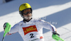 Winner Marcel Hirscher of Austria reacts in finish of second run of men slalom race of Audi FIS Alpine skiing World cup in Alta Badia, Italy. Men slalom race of Audi FIS Alpine skiing World cup was held on Gran Risa course in Alta Badia, Italy on Monday, 19th of December 2011.
