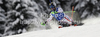 Kathrin Zettel of Austria skiing in first run of women slalom race of Audi FIS Alpine skiing World cup in Flachau, Austria. Women slalom race of Audi FIS Alpine skiing World cup, which replaced canceled Levi race, was held in Flachau, Austria on Tuesday, 20th of December 2011.
