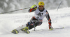 Ivica Kostelic of Croatia skiing in first run of men slalom race of Audi FIS Alpine skiing World cup in Flachau, Austria. Men slalom race of Audi FIS Alpine skiing World cup, which replaced canceled Levi race, was held in Flachau, Austria on Wednesday, 21st of December 2011.
