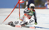 Viktoria Rebensburg of Germany skiing in first run of women giant slalom race of Audi FIS Alpine skiing World cup in Lienz, Austria. Women giant slalom race of Audi FIS Alpine skiing World cup was held in Lienz, Austria on Wednesday, 28th of December 2011.
