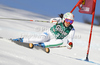 Federica Brignone of Italy skiing in first run of women giant slalom race of Audi FIS Alpine skiing World cup in Lienz, Austria. Women giant slalom race of Audi FIS Alpine skiing World cup was held in Lienz, Austria on Wednesday, 28th of December 2011.
