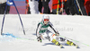 Kathrin Hoelzl of Germany skiing in first run of women giant slalom race of Audi FIS Alpine skiing World cup in Lienz, Austria. Women giant slalom race of Audi FIS Alpine skiing World cup was held in Lienz, Austria on Wednesday, 28th of December 2011.
