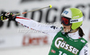Winner Anna Fenninger of Austria reacts in finish of second run of women giant slalom race of Audi FIS Alpine skiing World cup in Lienz, Austria. Women giant slalom race of Audi FIS Alpine skiing World cup was held in Lienz, Austria on Wednesday, 28th of December 2011.
