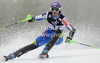 Tina Maze of Slovenia skiing in first run of women slalom race of Audi FIS Alpine skiing World cup in Zagreb, Croatia. Women slalom race of Audi FIS Alpine skiing World cup was held on Sljeme above Zagreb, Croatia, on Tuesday, 3rd of January 2012.
