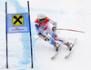 Fabienne Suter of Switzerland skiing in the Women Super G race of Audi FIS alpine skiing World Cup in Bad Kleinkirchheim, Austria. Women Super G race of Women Audi FIS Alpine skiing World Cup 2011 / 2012, was held on Sunday, 8th of Januar 2012, on Kaernten - Franz Klammer course in Bad Kleinkirchheim, Austria.
