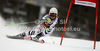 Viktoria Rebensburg of Germany skiing in first run of women giant slalom race of Audi FIS Alpine skiing World cup in Kranjska Gora, Slovenia. Traditional Golden fox trophy women giant slalom race of Audi FIS Alpine skiing World cup, which was scheduled to be run in Maribor, Slovenia, was moved to Kranjska Gora, Slovenia, due warm weather and lack of snow in Maribor, and was held in Kranjska Gora, Slovenia, on Saturday, 21st of January 2012.
