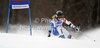 Lara Gut of Switzerland skiing in first run of women giant slalom race of Audi FIS Alpine skiing World cup in Kranjska Gora, Slovenia. Traditional Golden fox trophy women giant slalom race of Audi FIS Alpine skiing World cup, which was scheduled to be run in Maribor, Slovenia, was moved to Kranjska Gora, Slovenia, due warm weather and lack of snow in Maribor, and was held in Kranjska Gora, Slovenia, on Saturday, 21st of January 2012.
