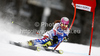 Marion Bertrand of France skiing in first run of women giant slalom race of Audi FIS Alpine skiing World cup in Kranjska Gora, Slovenia. Traditional Golden fox trophy women giant slalom race of Audi FIS Alpine skiing World cup, which was scheduled to be run in Maribor, Slovenia, was moved to Kranjska Gora, Slovenia, due warm weather and lack of snow in Maribor, and was held in Kranjska Gora, Slovenia, on Saturday, 21st of January 2012.
