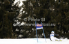 Veronique Hronek of Germany skiing in first run of women giant slalom race of Audi FIS Alpine skiing World cup in Kranjska Gora, Slovenia. Traditional Golden fox trophy women giant slalom race of Audi FIS Alpine skiing World cup, which was scheduled to be run in Maribor, Slovenia, was moved to Kranjska Gora, Slovenia, due warm weather and lack of snow in Maribor, and was held in Kranjska Gora, Slovenia, on Saturday, 21st of January 2012.
