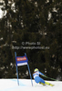 Mateja Robnik of Slovenia skiing in first run of women giant slalom race of Audi FIS Alpine skiing World cup in Kranjska Gora, Slovenia. Traditional Golden fox trophy women giant slalom race of Audi FIS Alpine skiing World cup, which was scheduled to be run in Maribor, Slovenia, was moved to Kranjska Gora, Slovenia, due warm weather and lack of snow in Maribor, and was held in Kranjska Gora, Slovenia, on Saturday, 21st of January 2012.
