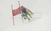 Andrej Sporn of Slovenia skiing in the men Downhill race of Audi FIS alpine skiing World Cup in Kitzbuhel, Austria. men Downhill race of Men Audi FIS Alpine skiing World Cup 2011 / 2012, was held on Saturday, 21st of Januar 2012, on Strei course in Kitzbuhel, Austria.
