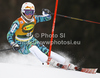 Lotte Smiseth Sejersted of Norway skiing in first run of women slalom race of Audi FIS Alpine skiing World cup in Kranjska Gora, Slovenia. Traditional Golden fox trophy women slalom race of Audi FIS Alpine skiing World cup, which was scheduled to be run in Maribor, Slovenia, was moved to Kranjska Gora, Slovenia, due warm weather and lack of snow in Maribor, and was held in Kranjska Gora, Slovenia, on Sunday, 22nd of January 2012.
