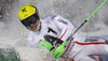 Winner Marcel Hirscher of Austria reacts in finish of second run of men slalom race of Audi FIS Alpine skiing World cup in Schladming, Austria. Traditional The Nightrace, men slalom race of Audi FIS Alpine skiing World cup, was held in Schladming, Austria, on Tuesday, 24th of January 2012.
