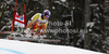 Erik Guay of Canada skiing in training run for men downhill race of Audi FIS Alpine skiing World cup in Garmisch-Partenkirchen, Germany. Training for men downhill race of Audi FIS Alpine skiing World cup, was held in Garmisch-Partenkirchen, Germany, on Friday, 27th of January 2012.
