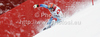 Didier Cuche of Switzerland skiing in training run for men downhill race of Audi FIS Alpine skiing World cup in Garmisch-Partenkirchen, Germany. Training for men downhill race of Audi FIS Alpine skiing World cup, was held in Garmisch-Partenkirchen, Germany, on Friday, 27th of January 2012.

