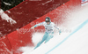 Andreas Romar of Finland skiing in training run for men downhill race of Audi FIS Alpine skiing World cup in Garmisch-Partenkirchen, Germany. Training for men downhill race of Audi FIS Alpine skiing World cup, was held in Garmisch-Partenkirchen, Germany, on Friday, 27th of January 2012.
