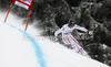 Joachim Puchner of Austria skiing in men downhill race of Audi FIS Alpine skiing World cup in Garmisch-Partenkirchen, Germany. Men downhill race of Audi FIS Alpine skiing World cup, was held in Garmisch-Partenkirchen, Germany, on Saturday, 28th of January 2012.
