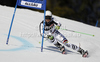 Viktoria Rebensburg of Germany skiing in first run of women giant slalom race of Audi FIS Alpine skiing World cup in Ofterschwang, Germany. Women giant slalom race of Audi FIS Alpine skiing World cup, which replaced canceled race of Soldeau, Andora, was held in Ofterschwang, Germany, on Friday, 2nd of March 2012.
