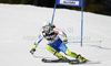 Ana Drev of Slovenia skiing in first run of women giant slalom race of Audi FIS Alpine skiing World cup in Ofterschwang, Germany. Women giant slalom race of Audi FIS Alpine skiing World cup, which replaced canceled race of Soldeau, Andora, was held in Ofterschwang, Germany, on Friday, 2nd of March 2012.
