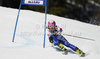Marion Bertrand of France skiing in first run of women giant slalom race of Audi FIS Alpine skiing World cup in Ofterschwang, Germany. Women giant slalom race of Audi FIS Alpine skiing World cup, which replaced canceled race of Soldeau, Andora, was held in Ofterschwang, Germany, on Friday, 2nd of March 2012.
