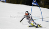 Veronika Staber of Germany skiing in first run of women giant slalom race of Audi FIS Alpine skiing World cup in Ofterschwang, Germany. Women giant slalom race of Audi FIS Alpine skiing World cup, which replaced canceled race of Soldeau, Andora, was held in Ofterschwang, Germany, on Friday, 2nd of March 2012.
