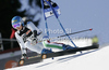 Irene Curtoni of Italy skiing in second run of women giant slalom race of Audi FIS Alpine skiing World cup in Ofterschwang, Germany. Women giant slalom race of Audi FIS Alpine skiing World cup, which replaced canceled race of Soldeau, Andora, was held in Ofterschwang, Germany, on Friday, 2nd of March 2012.
