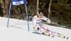 Elisabeth Goergl of Austria skiing in first run of women giant slalom race of Audi FIS Alpine skiing World cup in Ofterschwang, Germany. Women giant slalom race of Audi FIS Alpine skiing World cup was held in Ofterschwang, Germany, on Saturday, 3rd of March 2012.
